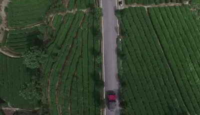 麗水·浮光，浮光指路茶香入夢蓋一間湖畔大學(xué)