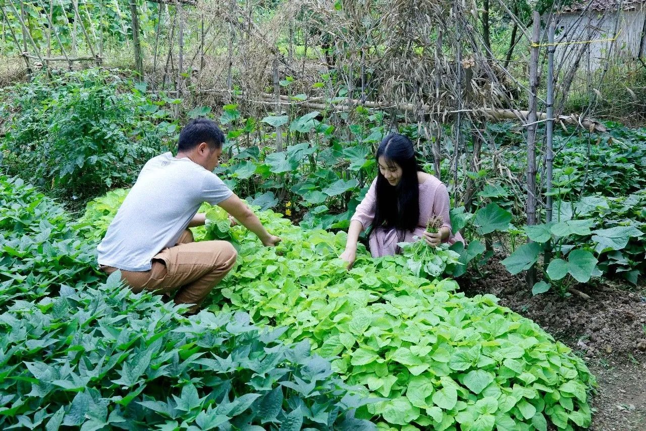 村上酒舍，體驗古村生活一起慢慢變老
