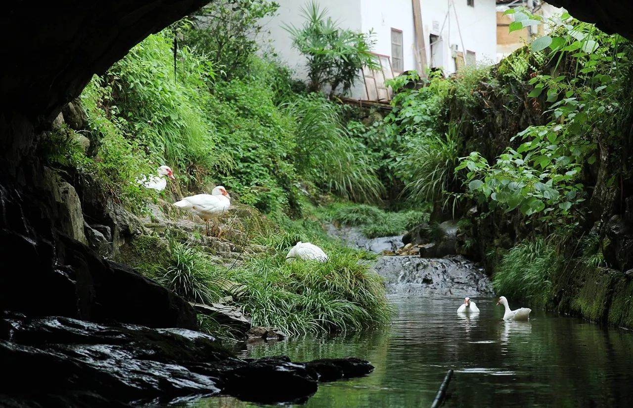 村上酒舍，體驗(yàn)古村生活一起慢慢變老