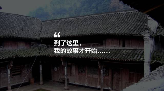 寧波·花雨醉，品花間一壺酒聽雨后醉朦朧