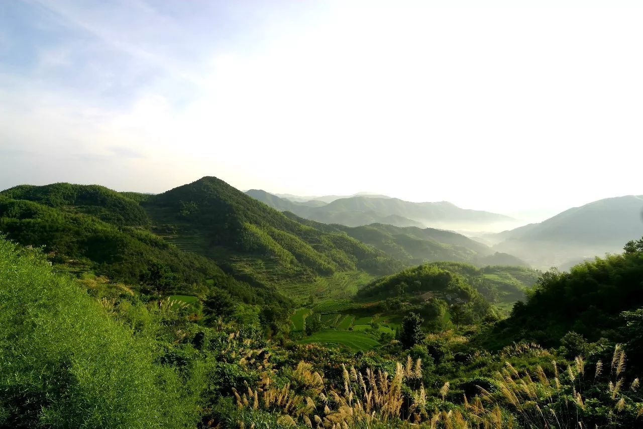 寧波·花雨醉，品花間一壺酒聽雨后醉朦朧
