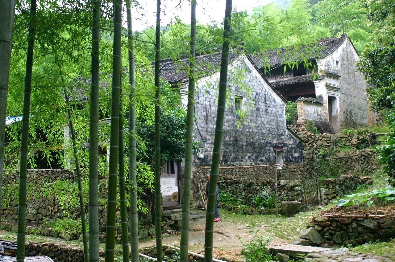 寧波·花雨醉，品花間一壺酒聽(tīng)雨后醉朦朧