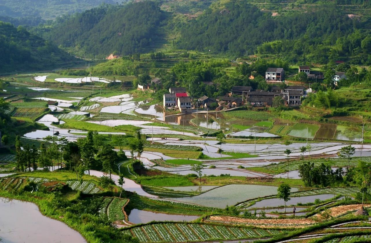 寧波·花雨醉，品花間一壺酒聽雨后醉朦朧