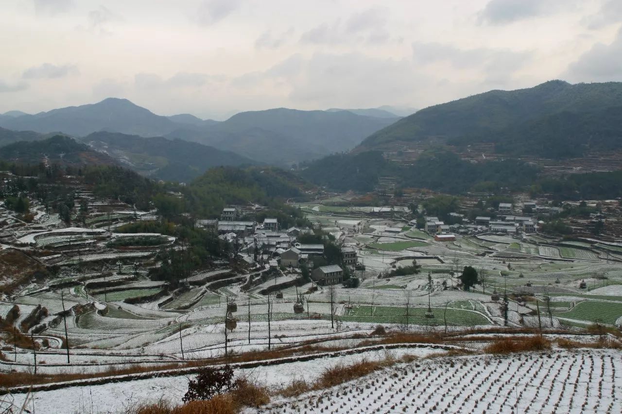 寧波·花雨醉，品花間一壺酒聽雨后醉朦朧