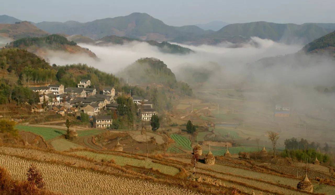 寧波·花雨醉，品花間一壺酒聽雨后醉朦朧