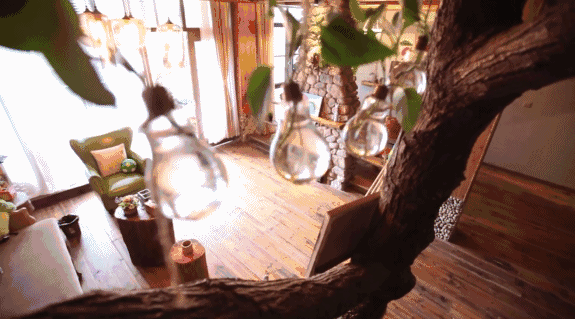 寧波·花雨醉，品花間一壺酒聽雨后醉朦朧