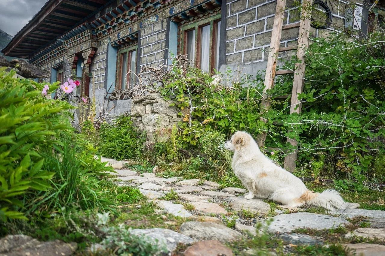 林芝·找個(gè)地兒待著，這個(gè)星球上最特別的故鄉(xiāng)