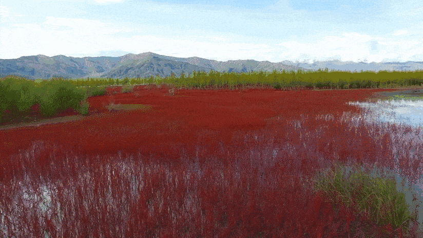 林芝·找個地兒待著，這個星球上最特別的故鄉(xiāng)