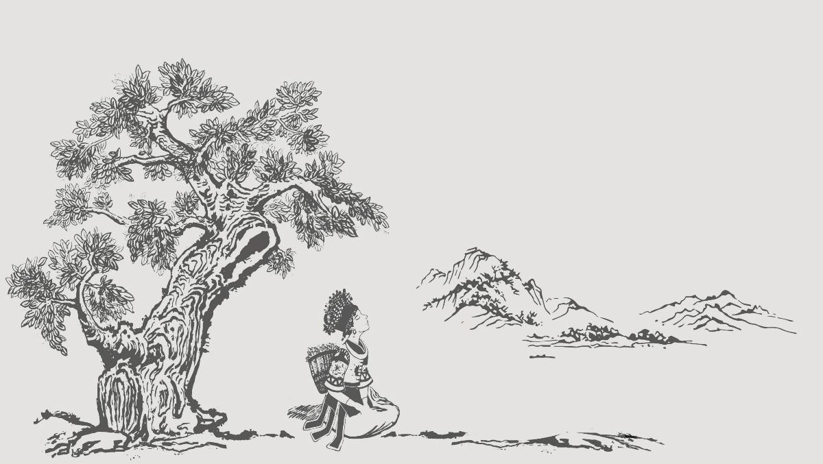貴州民族特色包裝設(shè)計(jì)，古樹(shù)茶葉包裝設(shè)計(jì)