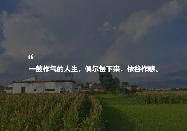 大理·依谷坐憩，在稻田里種間甜品店靜待光陰