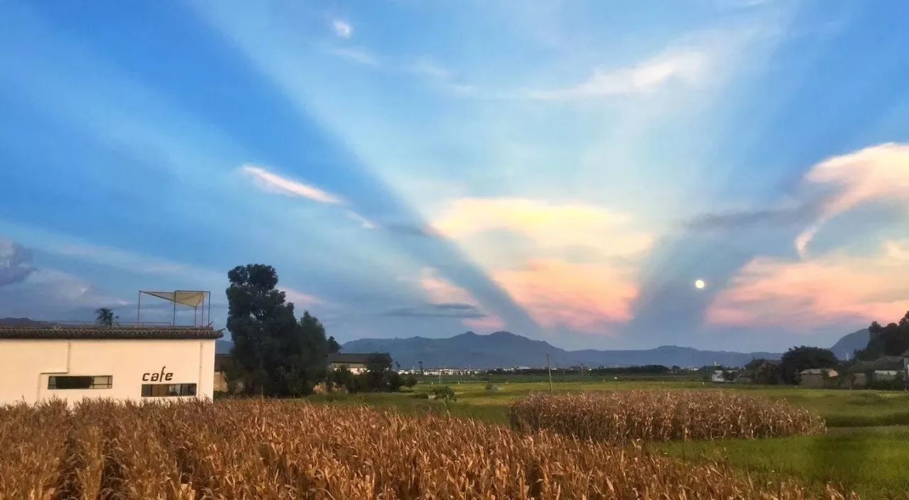 大理·依谷坐憩，在稻田里種間甜品店靜待光陰