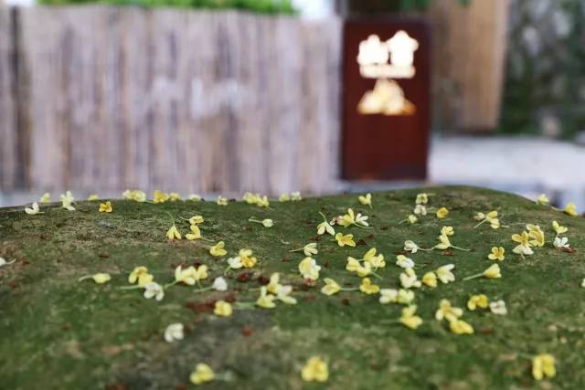 秋意正濃，與8家最美民宿一起相約杭州