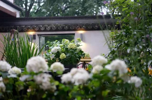 秋意正濃，與8家最美民宿一起相約杭州