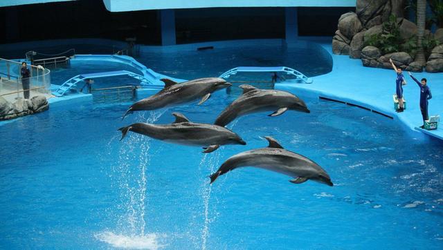 青島·Villaart維林藝墅，因為房子愛上一座城