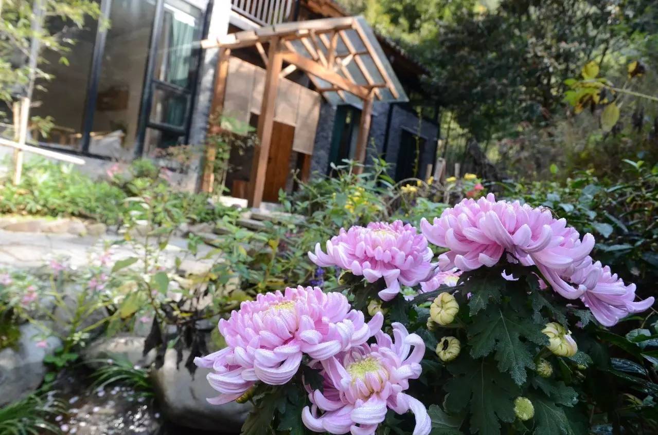 雪坑村·美客愛途，愛上美麗的客居地和旅途故事