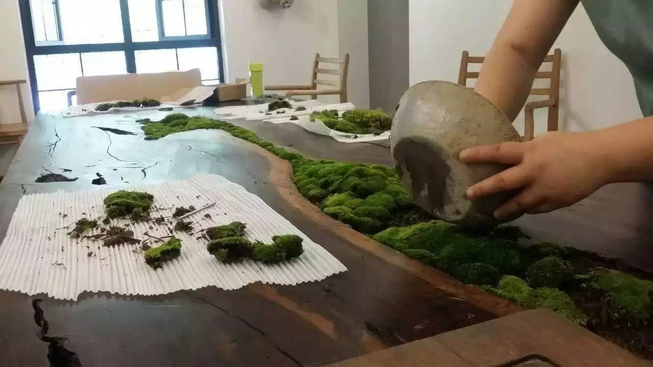 雪坑村·美客愛途，愛上美麗的客居地和旅途故事