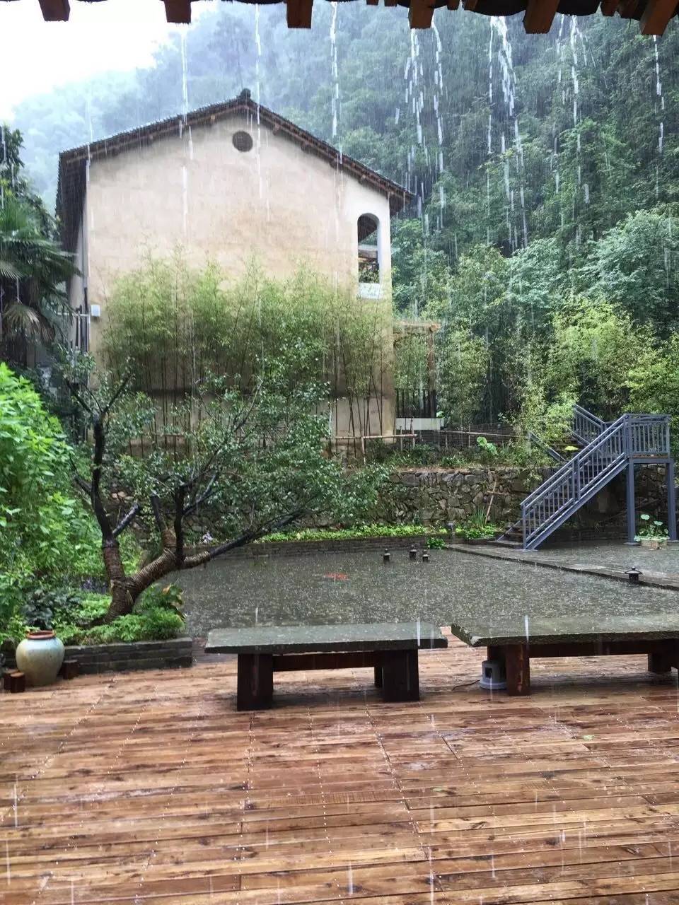 雪坑村·美客愛途，愛上美麗的客居地和旅途故事