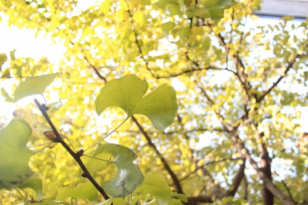 杭州·駐Hotel，在杭州最美季節(jié)體驗藝術(shù)空間
