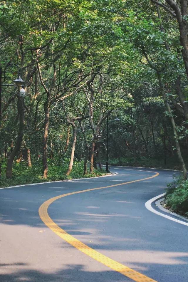 杭州·駐Hotel，在杭州最美季節(jié)體驗(yàn)藝術(shù)空間