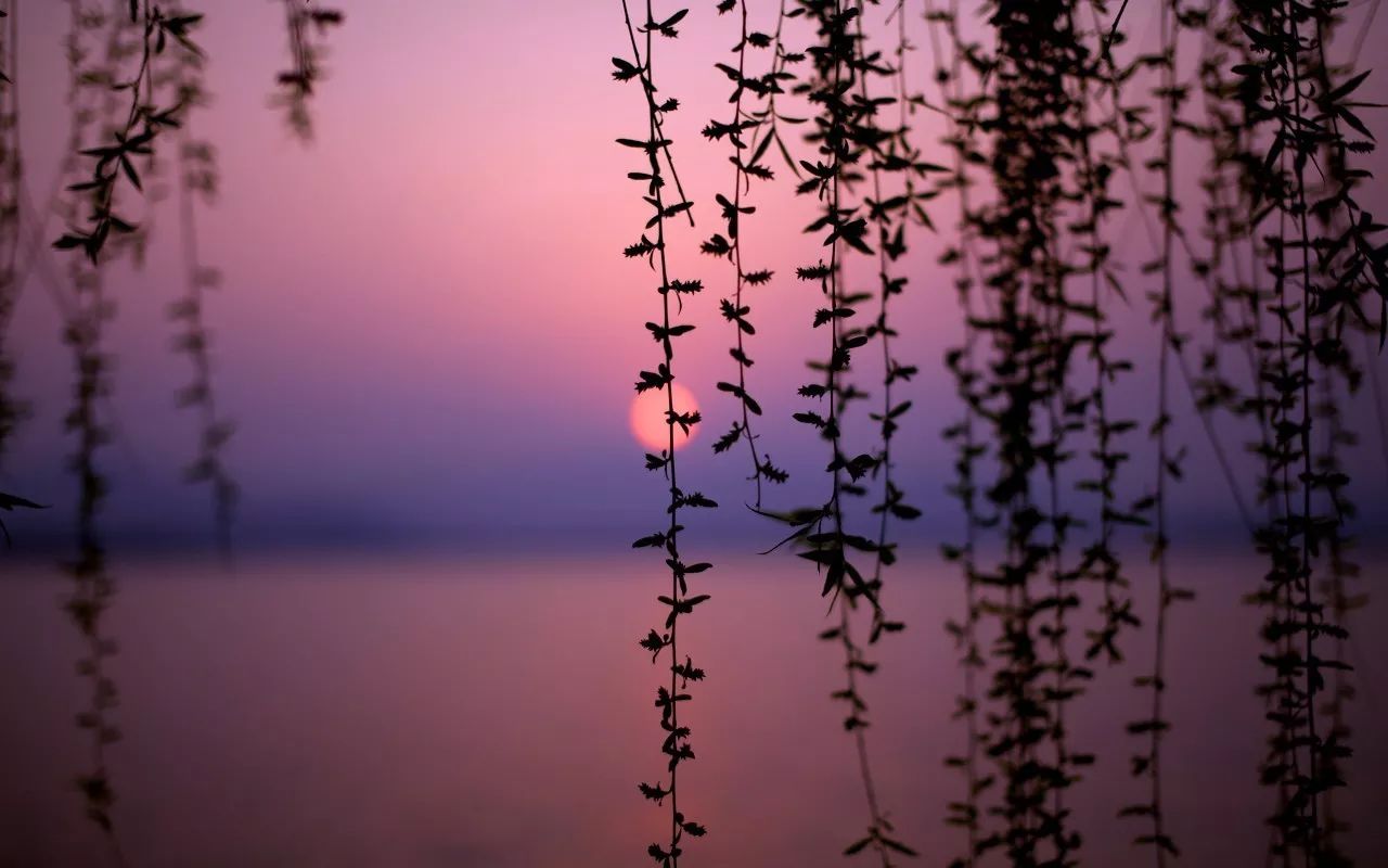 杭州·駐Hotel，在杭州最美季節(jié)體驗(yàn)藝術(shù)空間