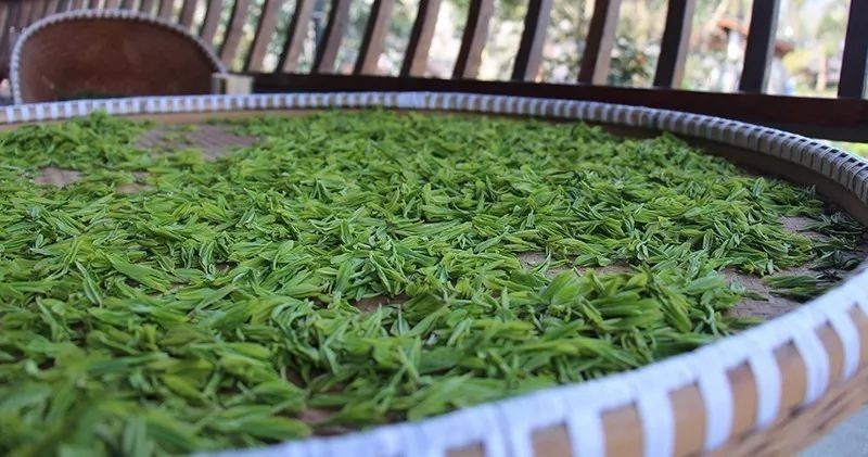 七椀居茶舍，喝西湖龍井茶感受西湖美秋季美