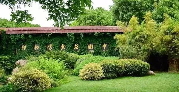 七椀居茶舍，喝西湖龍井茶感受西湖美秋季美