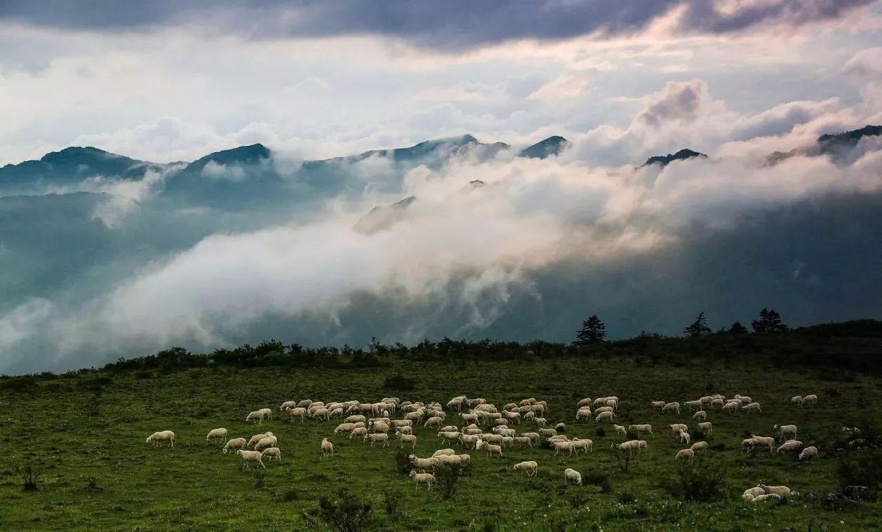 皇木鎮(zhèn)·壹間房，住進云霧間愛上一座城