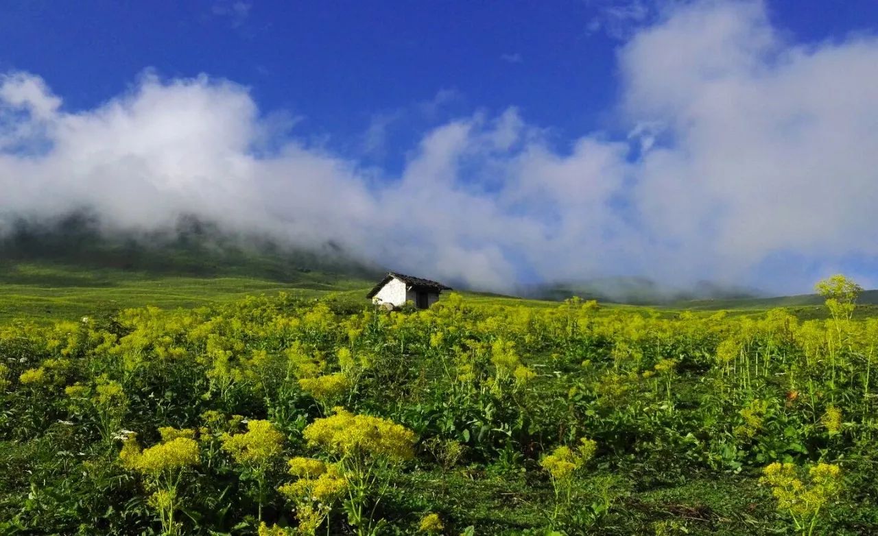 皇木鎮(zhèn)·壹間房，住進(jìn)云霧間愛(ài)上一座城