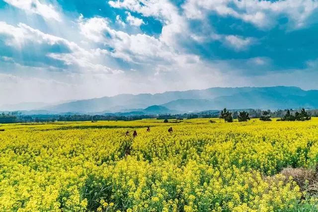 安之若宿·山，建一小屋與你晨鐘暮鼓