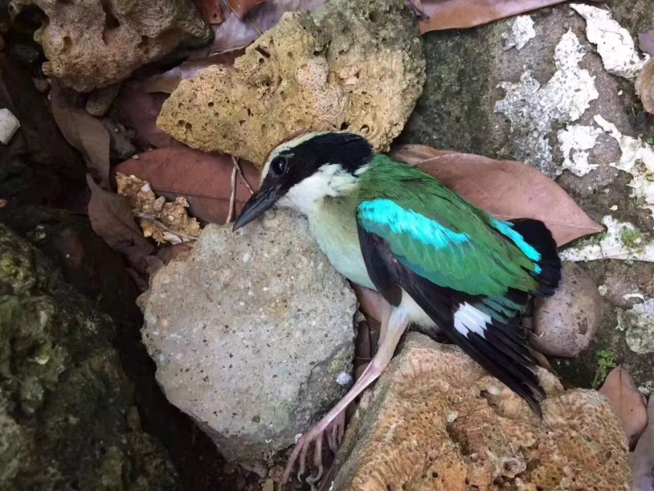 慢點(diǎn)藝術(shù)民宿，世間所有努力都是為了慢點(diǎn)