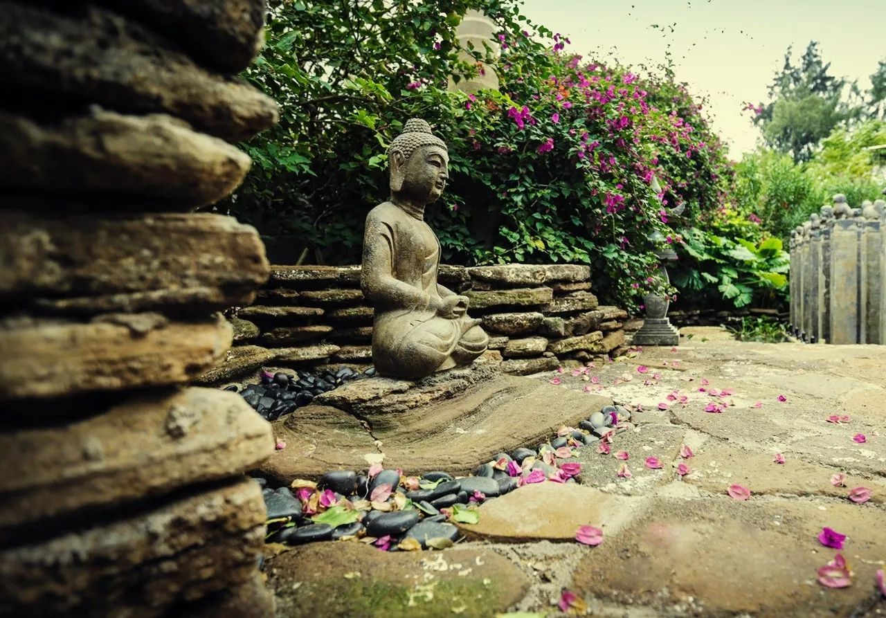 慢點藝術(shù)民宿，世間所有努力都是為了慢點