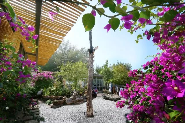 慢點(diǎn)藝術(shù)民宿，世間所有努力都是為了慢點(diǎn)