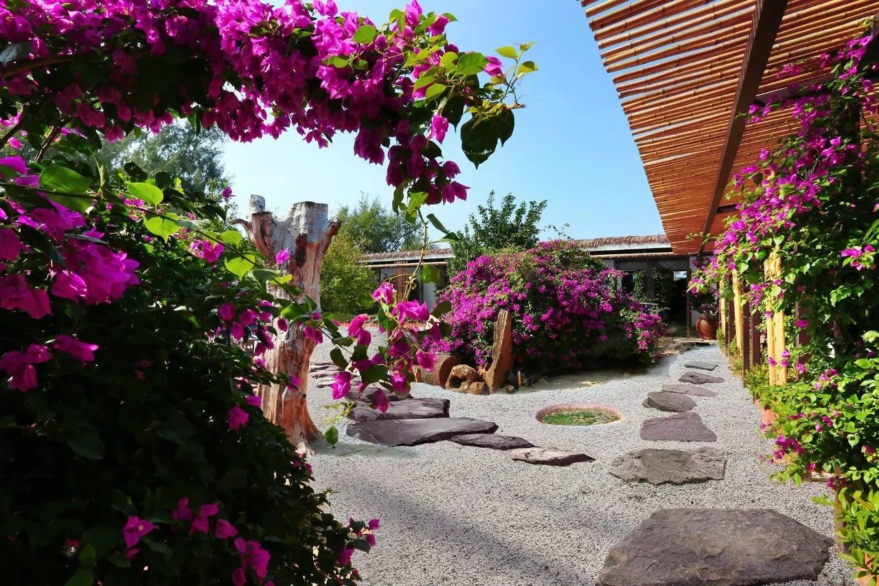 慢點(diǎn)藝術(shù)民宿，世間所有努力都是為了慢點(diǎn)