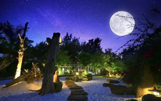 慢點(diǎn)藝術(shù)民宿，世間所有努力都是為了慢點(diǎn)