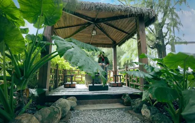 慢點(diǎn)藝術(shù)民宿，世間所有努力都是為了慢點(diǎn)