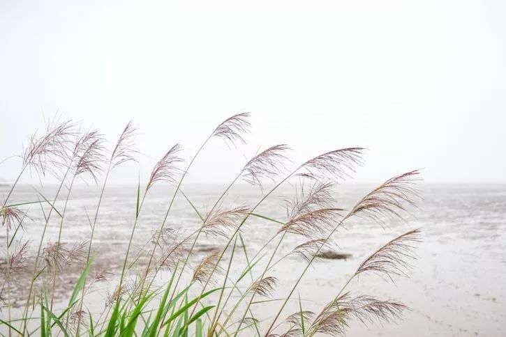 寧波·走點灣路，人生總需要走點彎路才能柳暗花