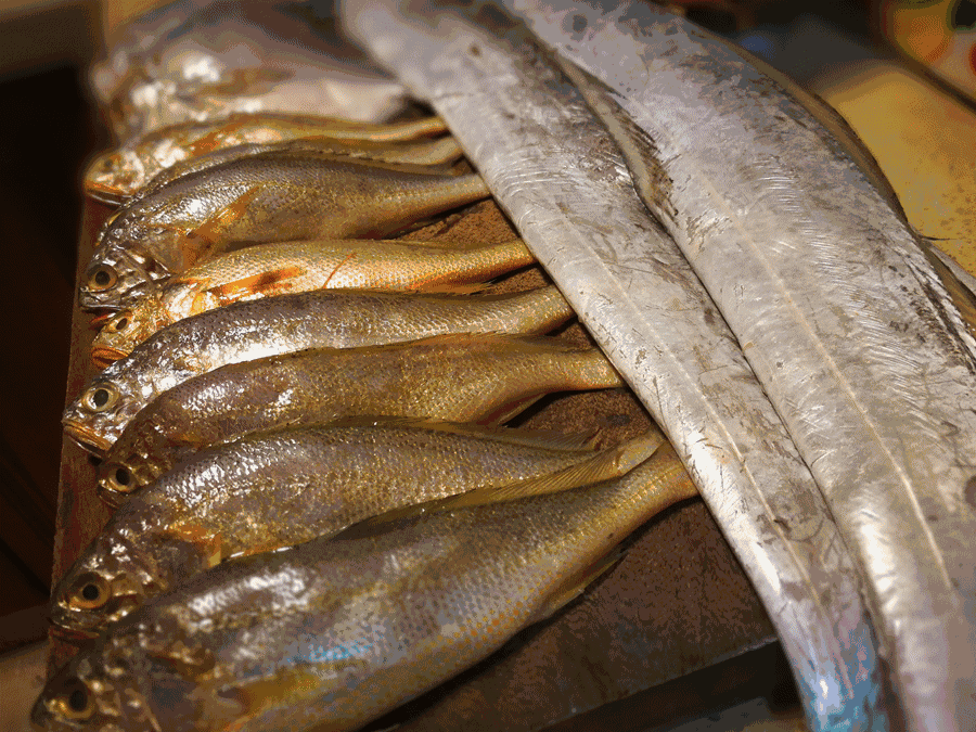 寧波·走點灣路，人生總需要走點彎路才能柳暗花