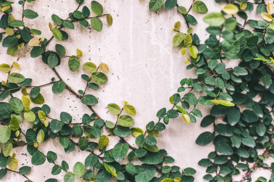 杭州·棲遲，還是那個(gè)獨(dú)一無(wú)二的黑白灰