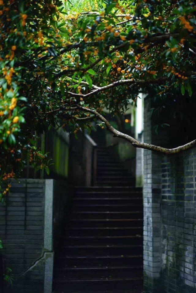 杭州·棲遲，還是那個獨一無二的黑白灰