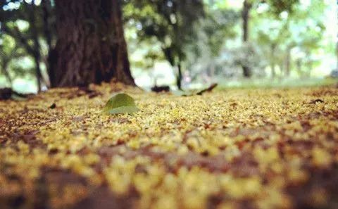 杭州·棲遲，還是那個獨一無二的黑白灰