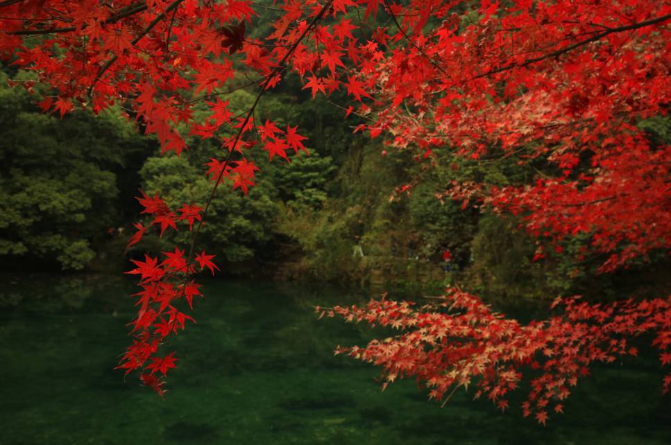 杭州·棲遲，還是那個(gè)獨(dú)一無二的黑白灰