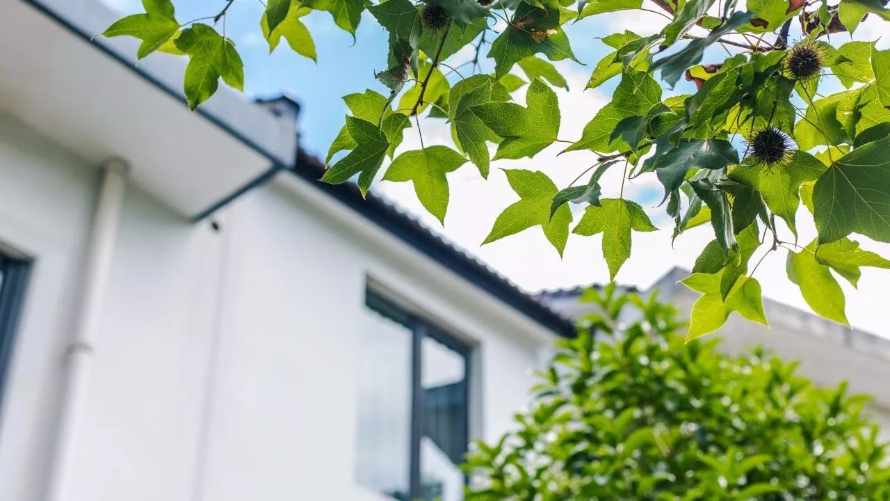 杭州·棲遲，還是那個(gè)獨(dú)一無二的黑白灰