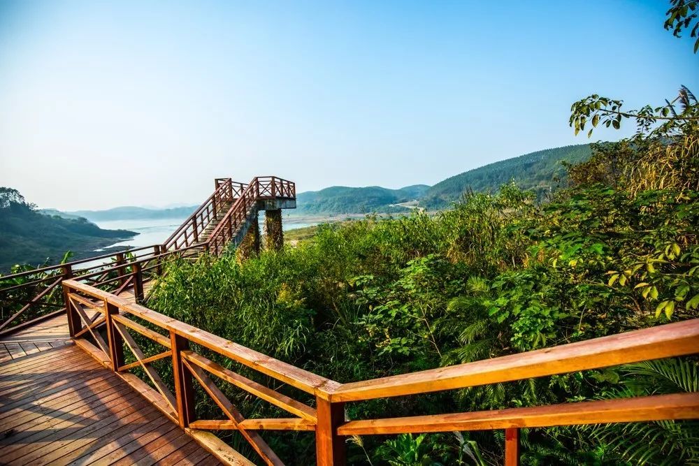 時光島，一間讓“時光倒流”300畝獨島民宿