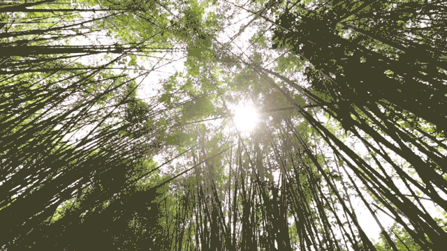 時(shí)光島，一間讓“時(shí)光倒流”300畝獨(dú)島民宿