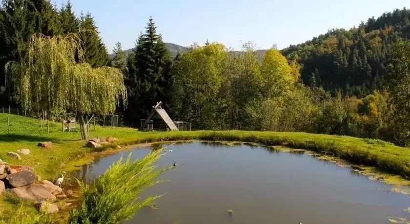 驚呆了，雞窩豬舍馬廄牛棚羊圈變民宿!