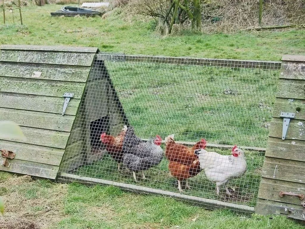 驚呆了，雞窩豬舍馬廄牛棚羊圈變民宿!
