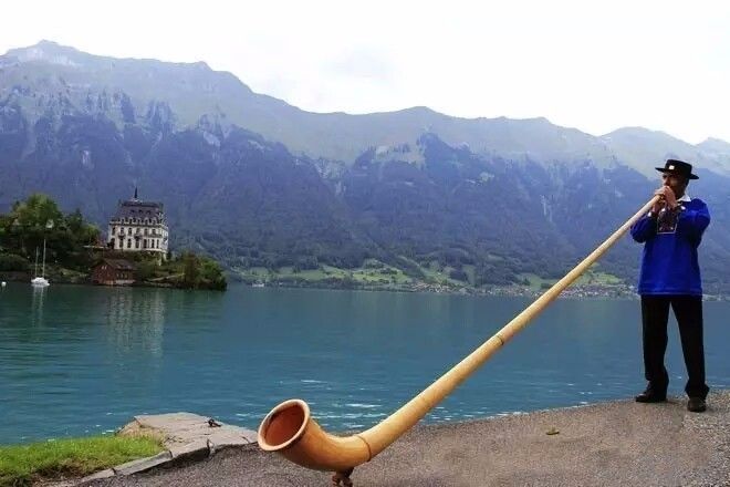 驚呆了，雞窩豬舍馬廄牛棚羊圈變民宿!