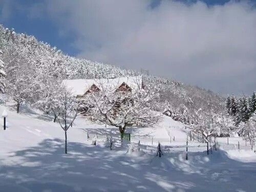 驚呆了，雞窩豬舍馬廄牛棚羊圈變民宿!