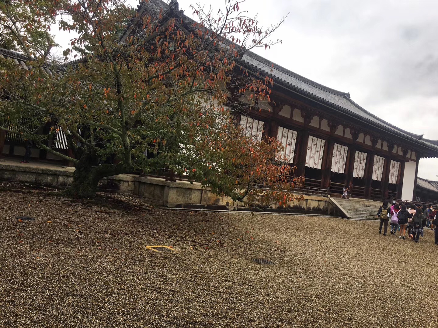 奈良·法隆寺，唐昭提寺佛教圖片