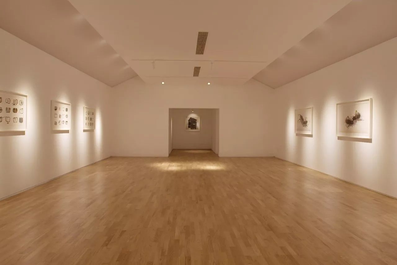 青山周平有熊公寓，一種部落式的共享生活